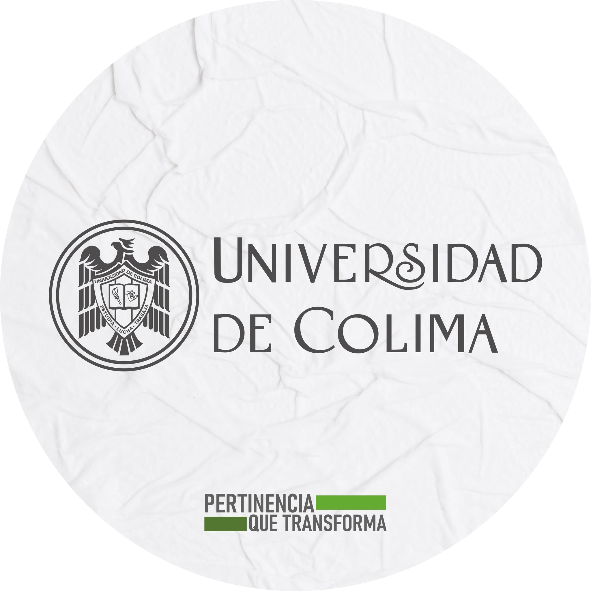 Jornada Altexto Universidad de Colima